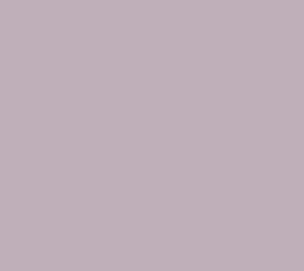 Susan Graver Women's Petite Pants PXL Weekend Premium Crop BUtton Gray A397797