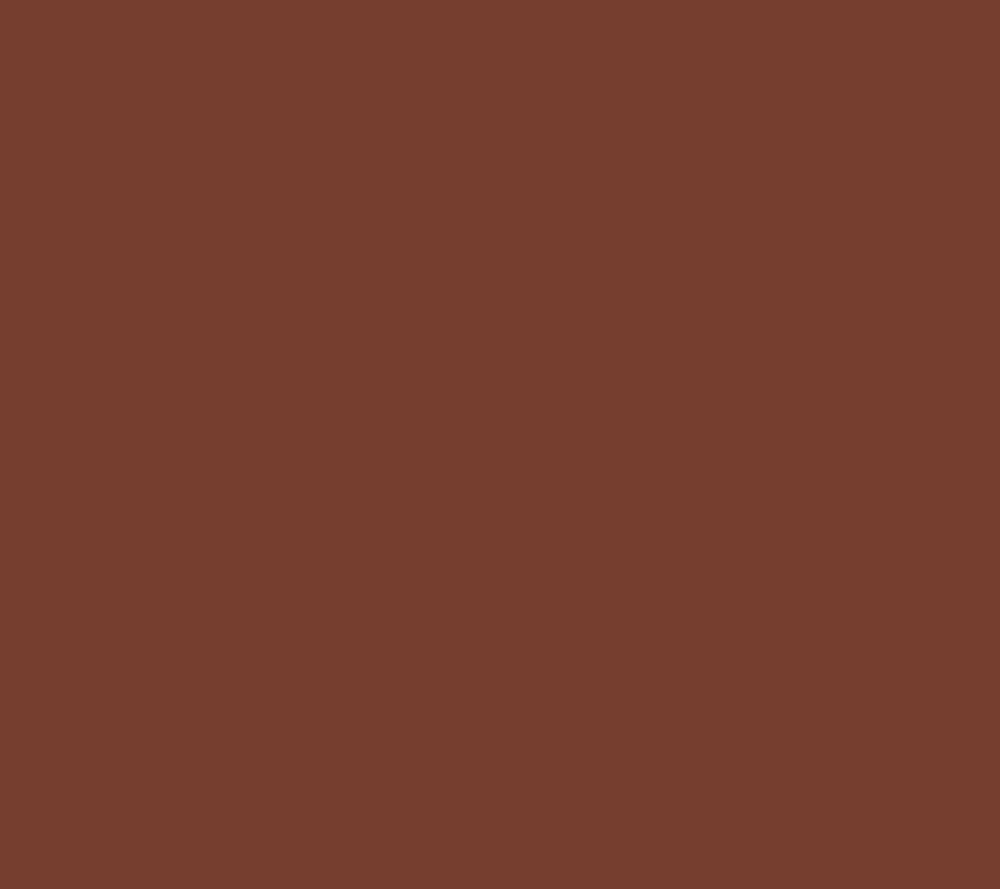 Maya J Women's Top Sz 2XS (XXS) Primabelle Long Sleeve Scoop Neck Brown A605817