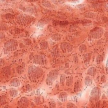 Fashion Women's Top Plus Sz 3X Fine Lace -Sleeve and Tank Set Red A659289