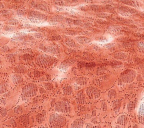 Fashion Women's Top Plus Sz 3X Fine Lace -Sleeve and Tank Set Red A659289