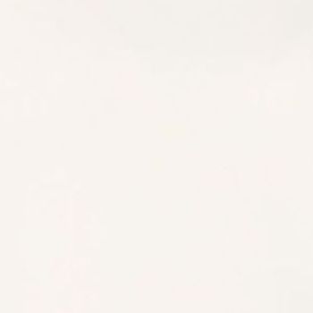 Belle by Kim Gravel Women's Top Sz L TripleLuxe Turtleneck White A666954