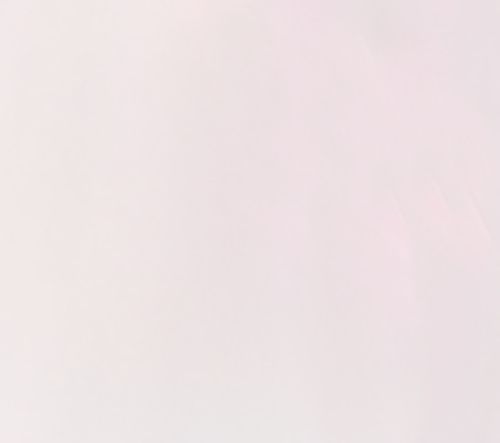 nicole by Nicole Miller Women's Top Petite PM Updated Boyfriend White A693068